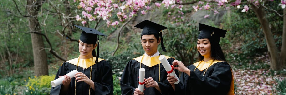 Three graduates in black gowns with gold hoods and caps hold rolled diplomas under a flowering magnolia tree, the finish line of a doctorate in psychology.