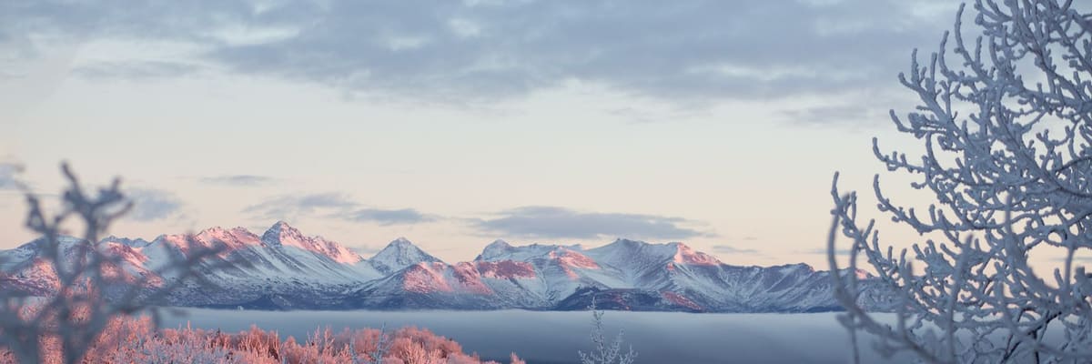 Snow-covered mountains and frosted trees at sunrise near Anchorage, Alaska