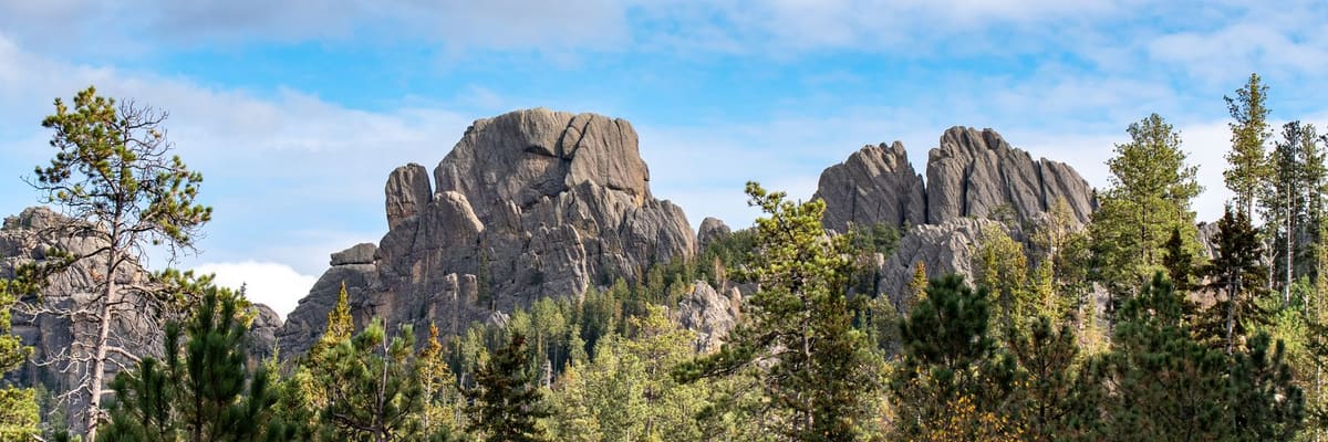 Rock formations and pine forest in the Black Hills of South Dakota
