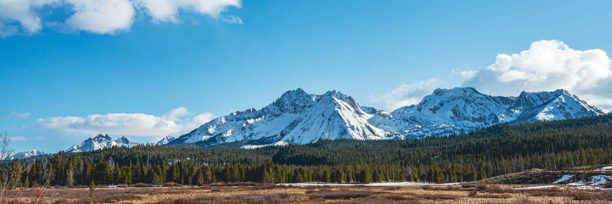 The snow-capped Sawtooth Mountains rising above a pine forest and a sagebrush meadow near Stanley, Idaho. The photograph opens the ranking of PsyD programs in Idaho.