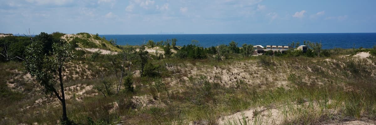 Sand dunes with beach grass and trees above the blue water of Lake Michigan at Indiana Dunes National Park in Indiana. The photograph opens the ranking of PsyD programs in Indiana.