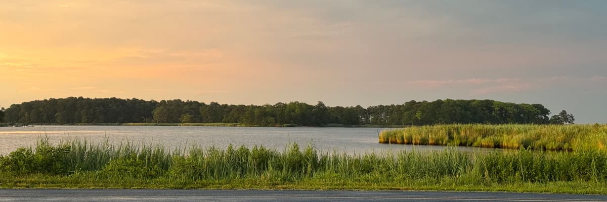Evening light over a tidal creek and marsh grasses on the Chesapeake Bay shore at Rock Hall, Maryland, with a wooded point beyond. The photograph opens the ranking of PsyD programs in Maryland.