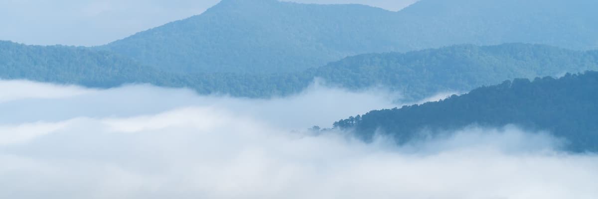 Layered Blue Ridge Mountain ridgelines above a bank of morning fog near Asheville, North Carolina. The photograph opens the ranking of PsyD programs in North Carolina.