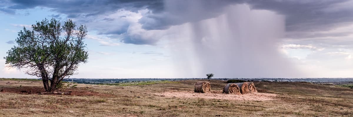 A lone tree and round hay bales on open ranchland in Oklahoma, with a storm cloud and a curtain of rain over the plain. The photograph opens the ranking of PsyD programs in Oklahoma.