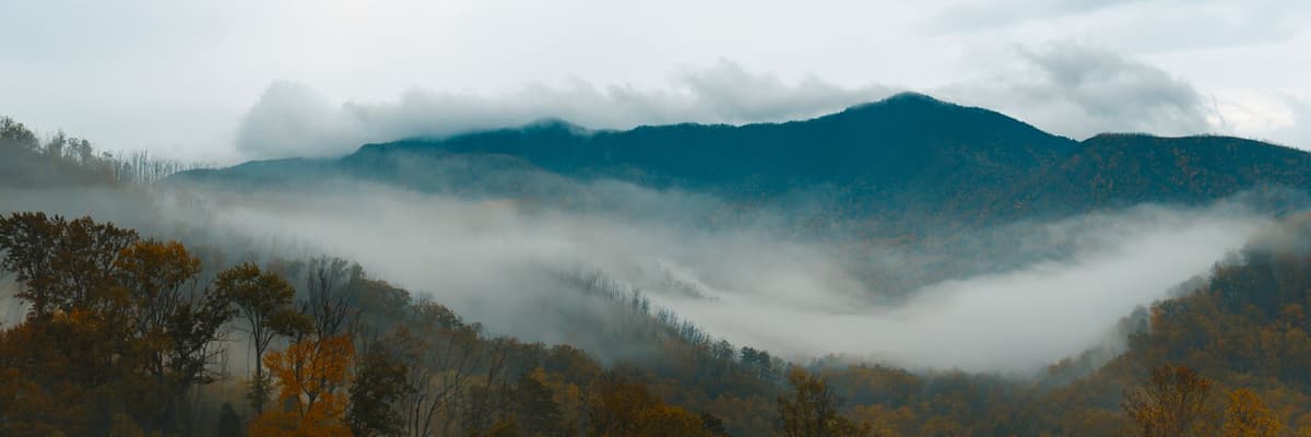 Fog settling into a valley of autumn forest below a ridge of the Great Smoky Mountains near Gatlinburg, Tennessee. The photograph opens the ranking of PsyD programs in Tennessee.
