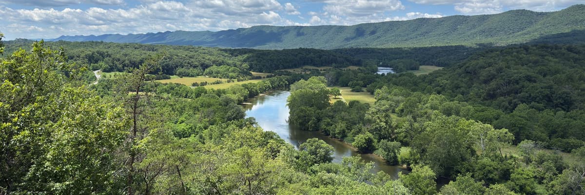 The Shenandoah River winding through green forest with the Blue Ridge Mountains beyond, in Virginia. The photograph opens the ranking of PsyD programs in Virginia.