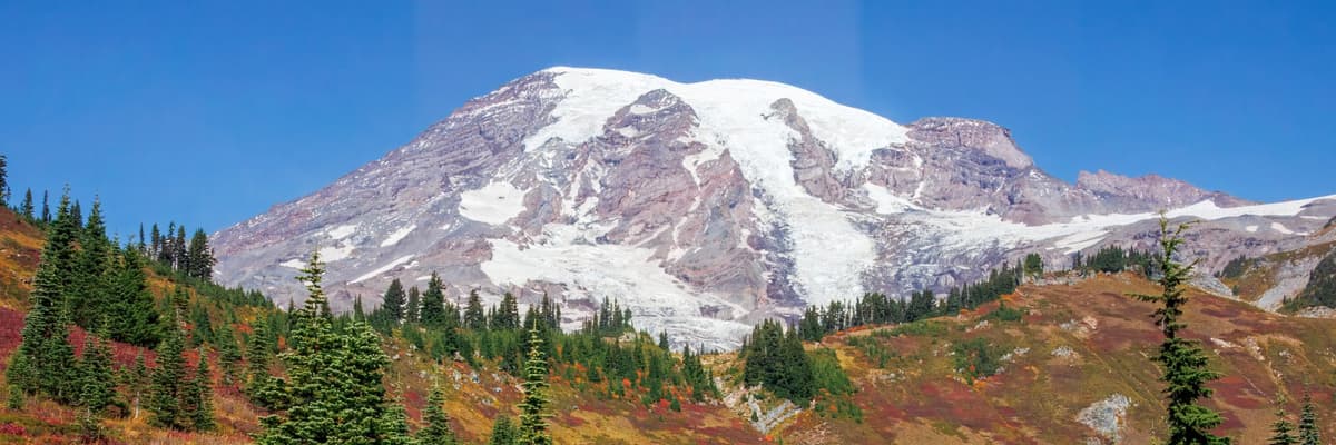 The snow-covered summit of Mount Rainier above red and gold autumn meadows and subalpine firs in Washington, with a paved trail curving through the foreground. The photograph opens the ranking of PsyD programs in Washington.
